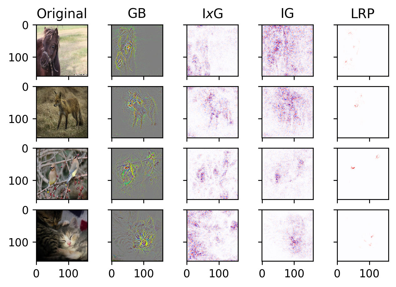local interpretations of various back-propagation techniques image data local interpretation back propagation techniques GB Guided Backpropagation IxG InputxGradients IG Integrated Gradients LRP Layer-wise Relevance Propagation interpretable machine learning